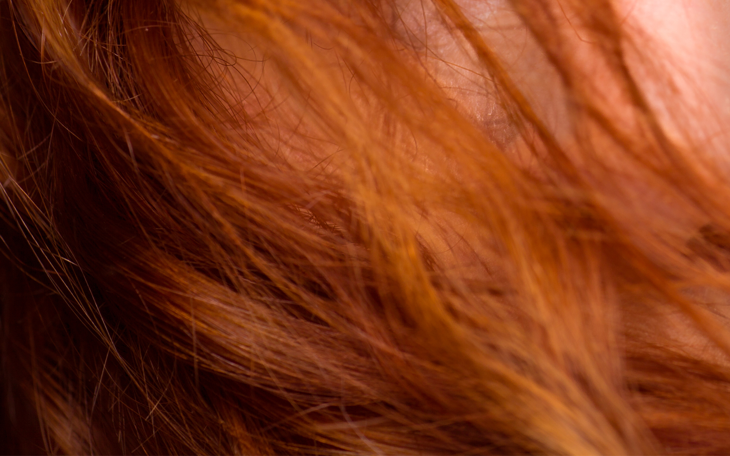 GZS levert bijdrage aan gedeeld Regiobeeld Twente